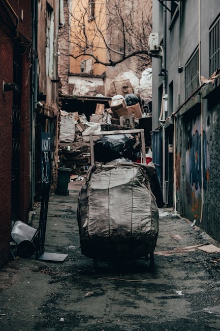A collection of black plastic rubbish bags and assorted discarded packaging, piled in front of a red metal door set into a beige, rough-textured exterior wall. The door has graffiti tags in white and pink spray paint, as well as a white sign reading 'No Money' and a blue and white 'Keep Clear' sign. A small, green plant is visible growing at the base of the wall near the bottom right corner. The scene appears to be an outdoor area adjacent to a building, potentially a back alley or service entrance, where waste has accumulated for collection or removal. This setting illustrates typical private waste disposal activity in an urban environment, possibly managed by a local rubbish removal service such as Rubbish Removal Kennington, emphasizing the importance of proper rubbish handling and clearance in commercial or residential precincts.